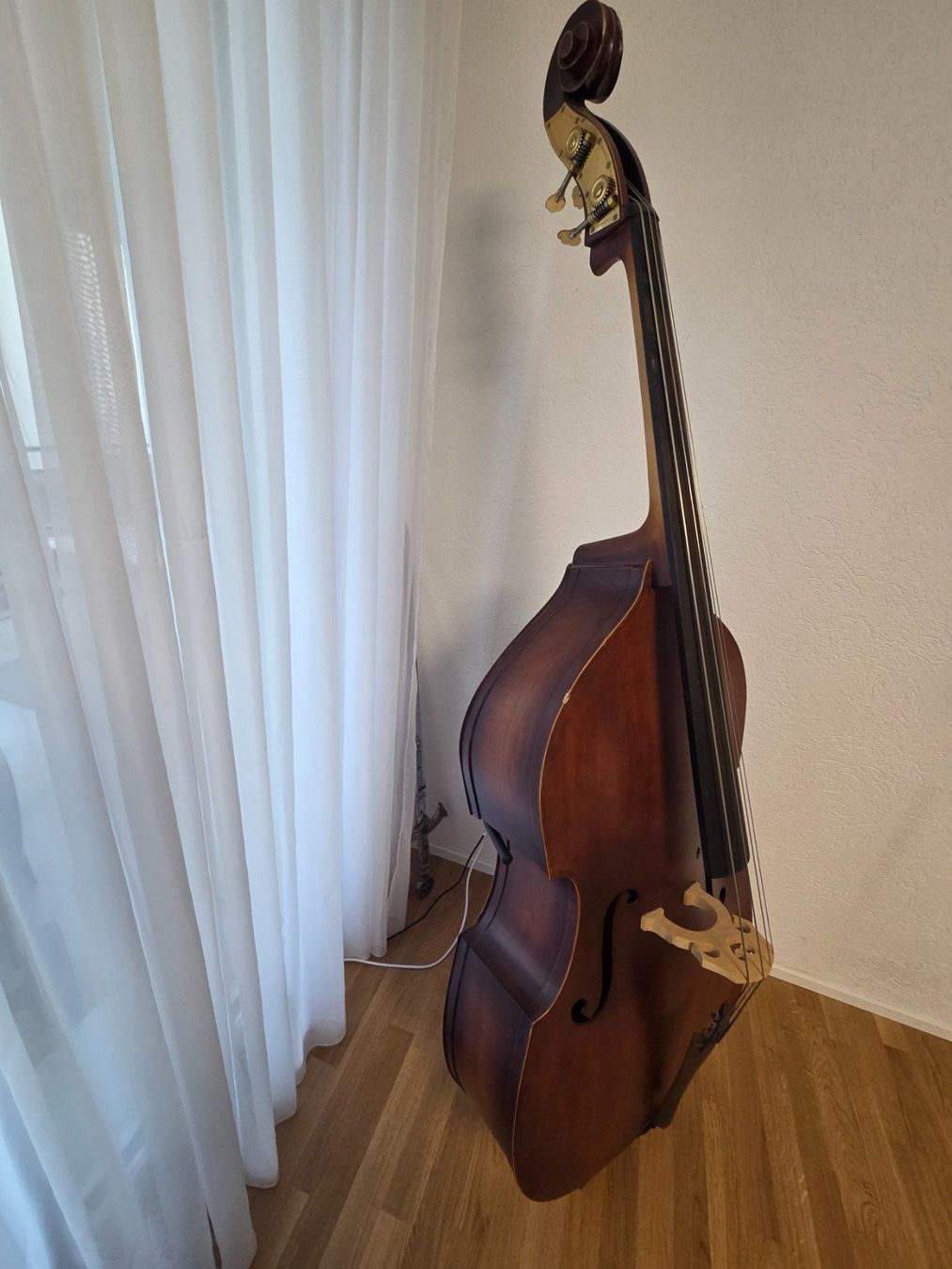 Instruments de musique: Kontrabass mit Ständer – D'occasion à Eglisau par san_8nvn 3