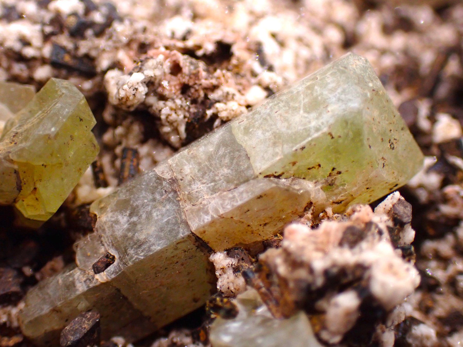 Minerali & Pietre curative: Lustrous, Yellow Apatite Crystals - Morocco – Usato da Figino venduto da minshop 4