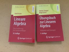 Lineare Algebra + Übungsbuch