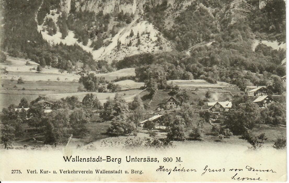 Cartes postales: Wallenstadt Berg Untersäss  1904 – D'occasion à Hochdorf par Ziegel-16