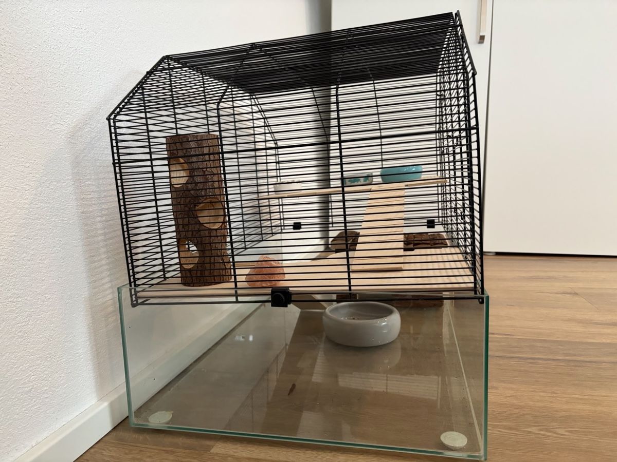 Cages, transport & sécurité: Hamsterkäfig – D'occasion à Wettingen par Brisa2011 1
