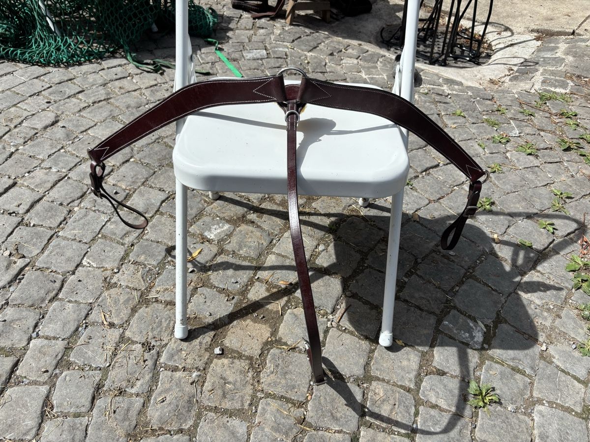 Selle & Accessori: Westernvorderzeug – Usato da St. Gallen venduto da may_8fbd