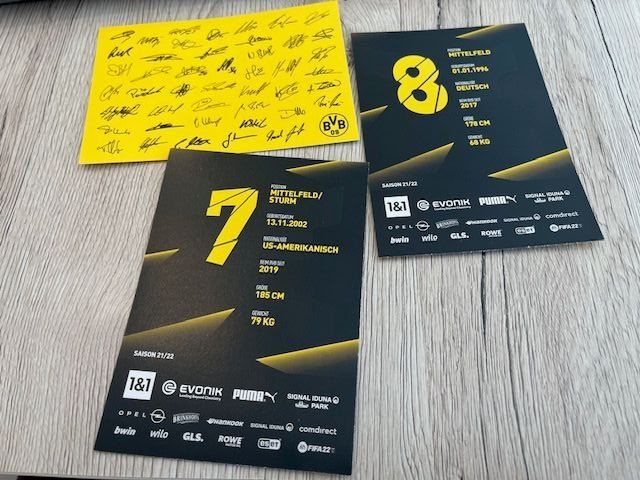 Autografi: BVB Autogrammkarten Saison 2021/2022 - Reyna, Dahoud – Nuovo (secondo la descrizione) da Naters venduto da juveman 1