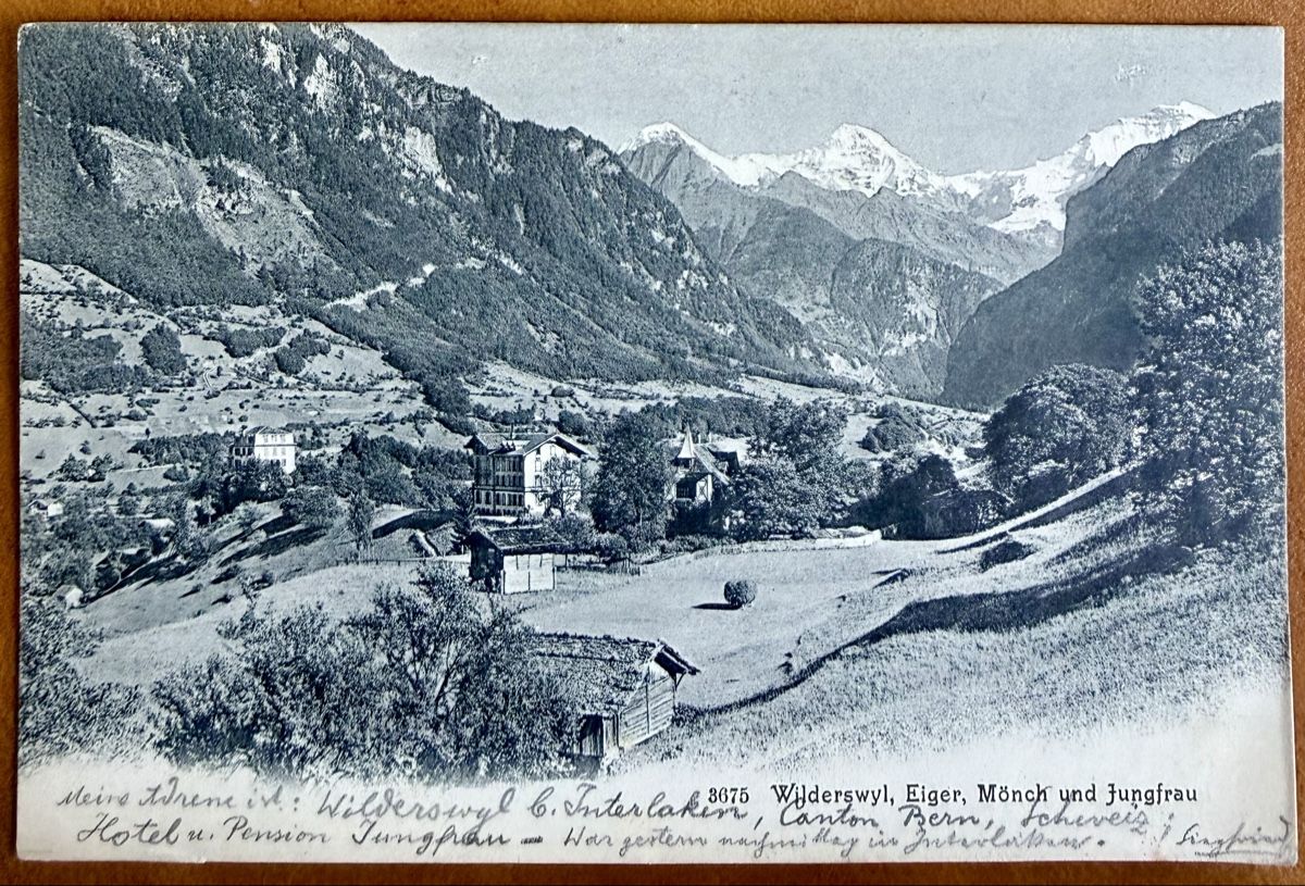 Cartoline postali: Eilderswyl - Eiger - Mönch - Jungfrau 1908 – Usato da Lutry venduto da Ediego