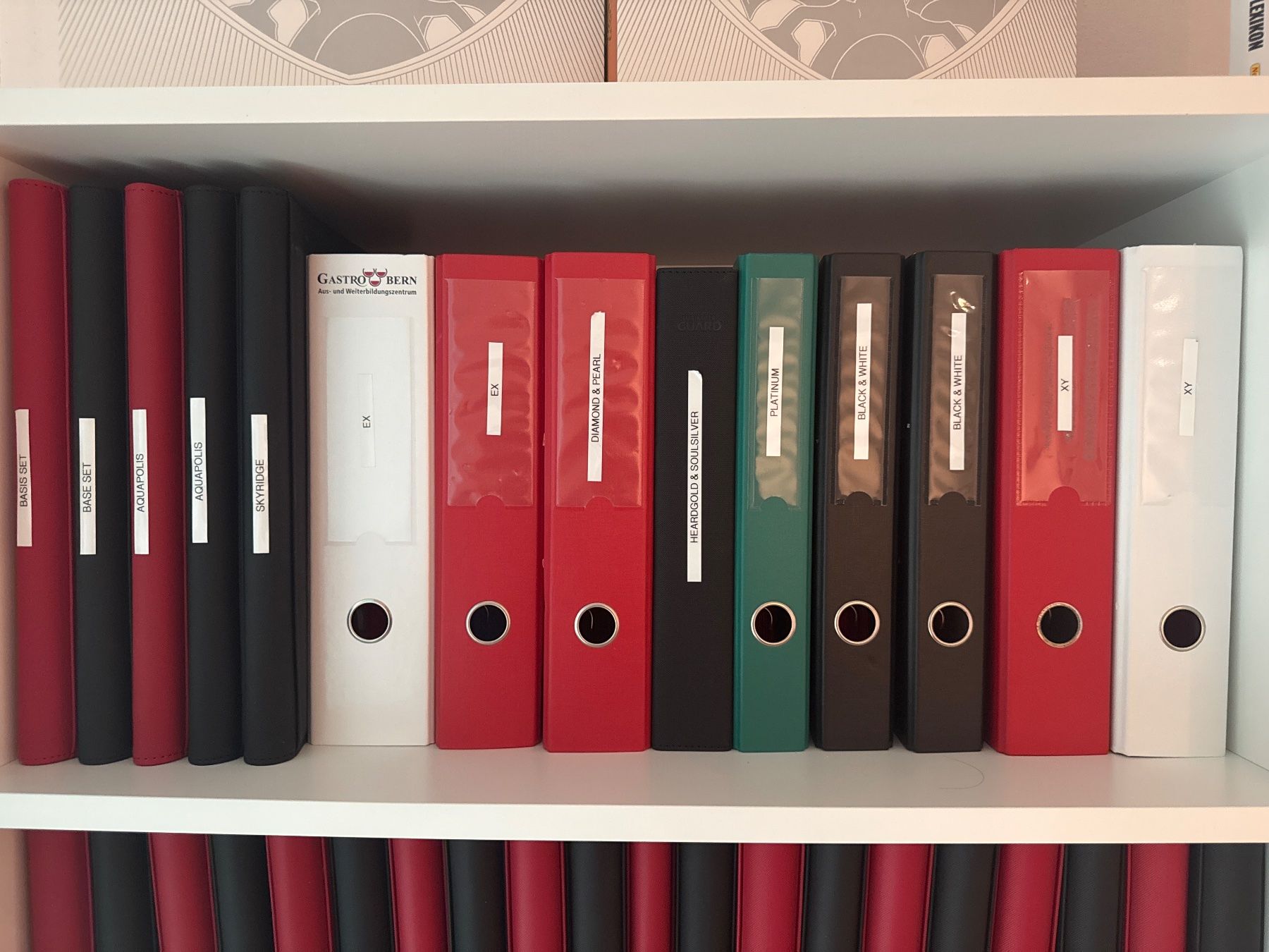 Pokémon Carte collezionabili: Pokemon Sammlung – Usato da Bern venduto da MAE85 1
