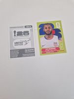 Panini Sticker USA5