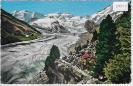 Morteratschgletscher mit Piz Palü,