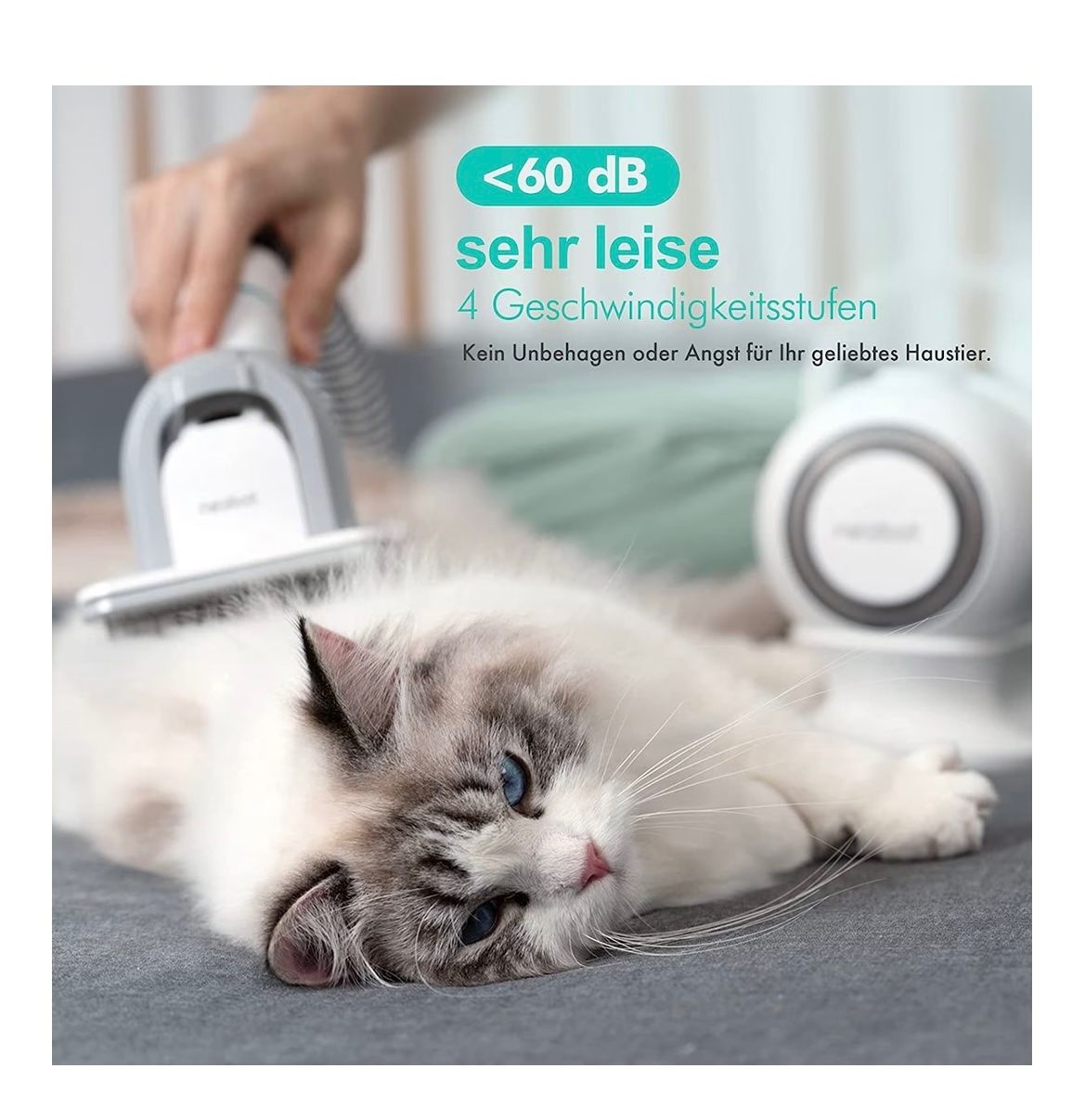 Prodotti per la cura & articoli per la pulizia: Hundeschermaschine mit Staubsauger – Nuovo e nell'imballaggio originale da Ottenbach venduto da Noor07 6
