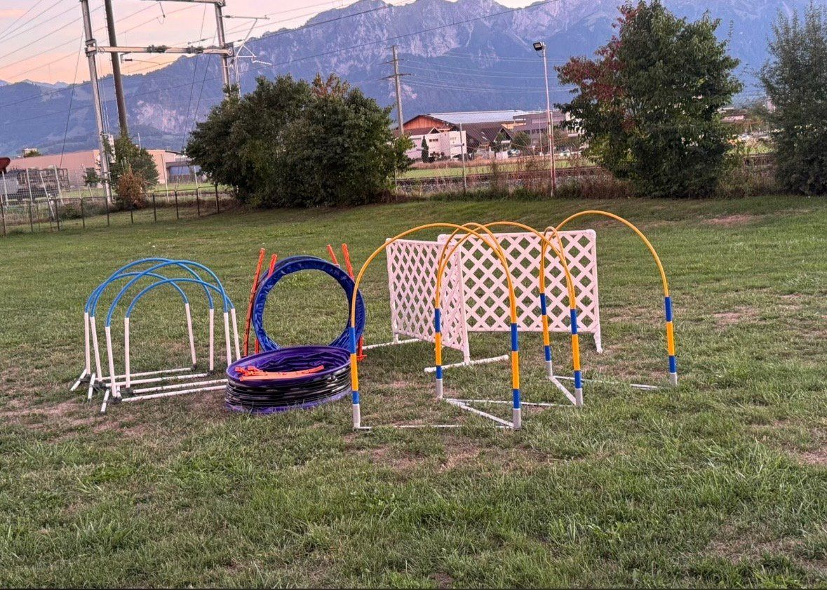 Hometrainer: Hoopagy-Geräte – Gebraucht aus Thun von Piumini
