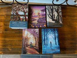 Lot livres ados / jeunes adultes