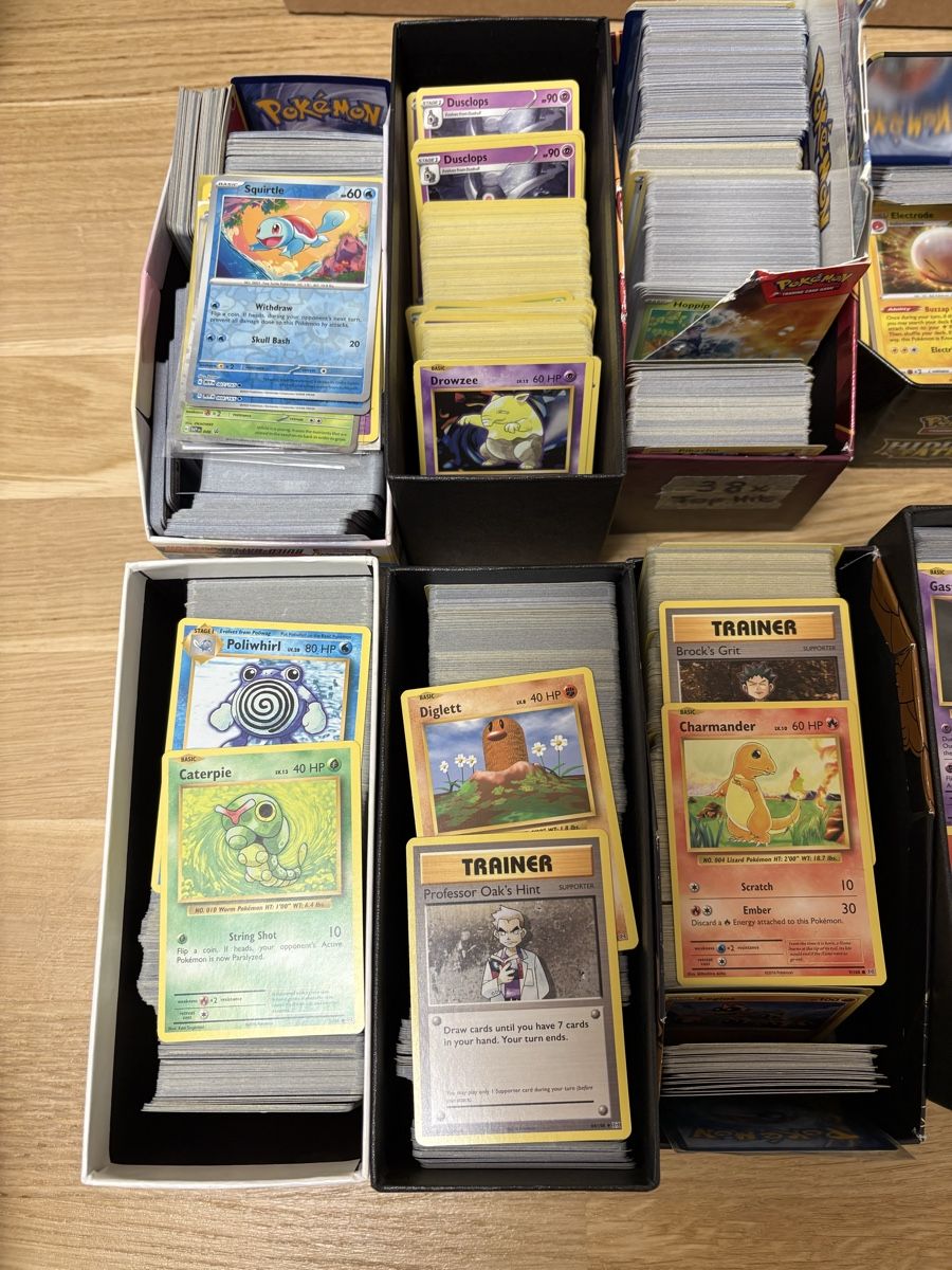 Pokémon Carte collezionabili: Pokemon Sammlung  – Nuovo (secondo la descrizione) da Lausen venduto da and_f9qn 1