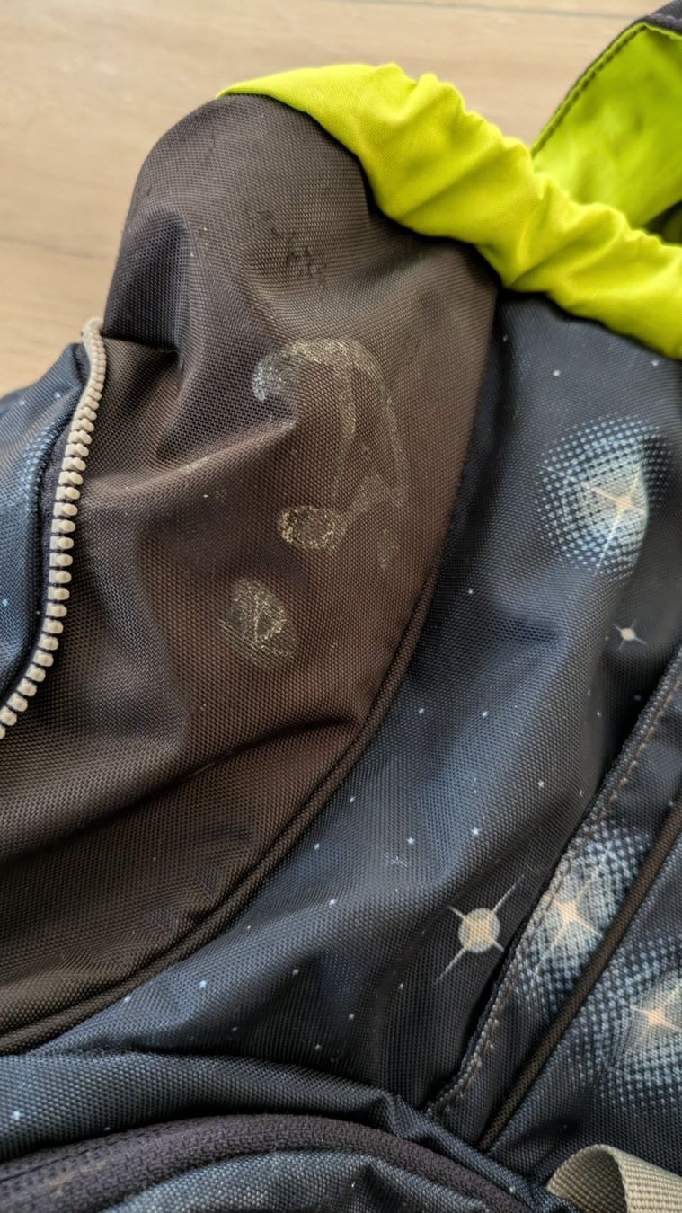 Ergobag Borse & Zaini: ergobag Rucksack – Usato da Staufen venduto da Fleby84 3