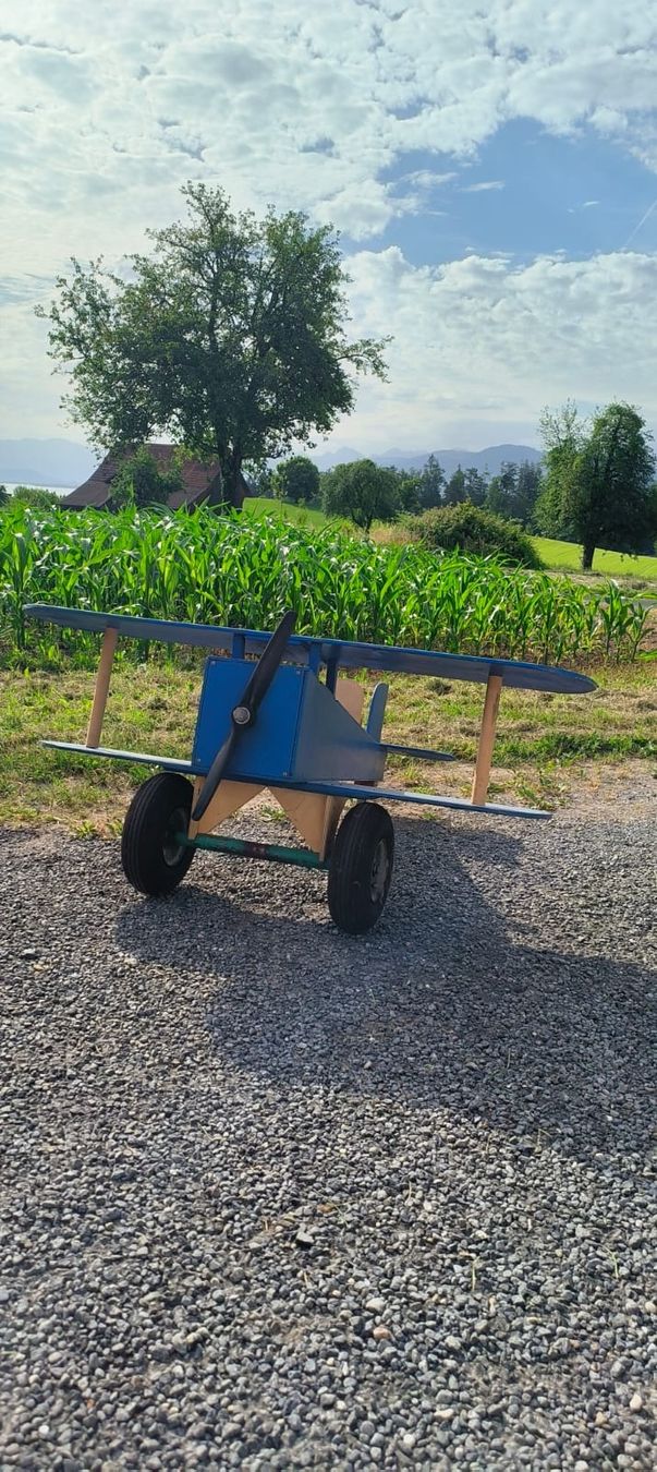 Giocattoli: Holz Modellflugzeug – Usato da Wädenswil venduto da weihpos 5