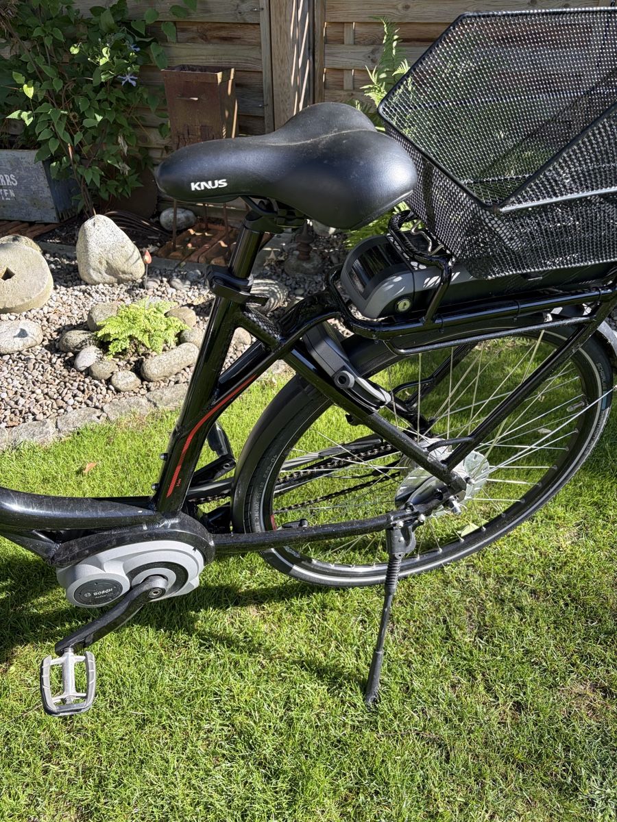 Flyer Velos: Flyer eBike mit tiefem Einstieg, Bosch Motor – Gebraucht aus Winterthur von silen 2