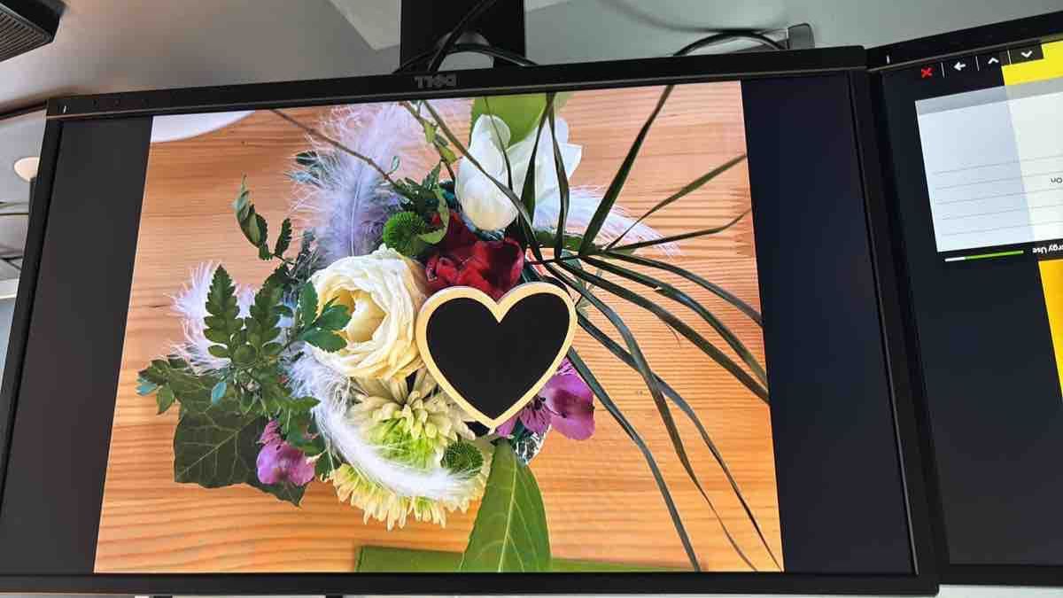 Dell Monitore: 2x Dell P2317H Computer Monitors, 23 Inch, Functional – Gebraucht aus Buttwil von Mmkg 1