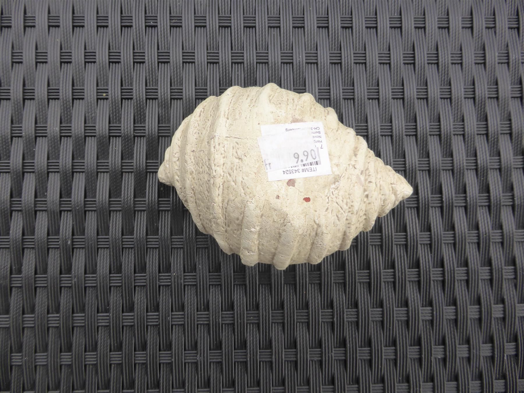 Alle Dekorationen: Deko Muschel beige – Gebraucht aus Schübelbach von Dolly990_2 1