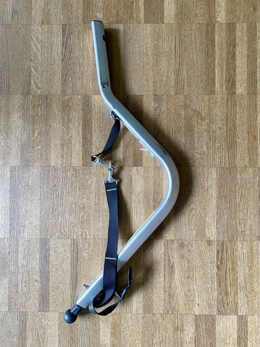 Thule Remorques: Thule Chariot Cross für 2 Kinder – D'occasion à Basel par Amay28 9