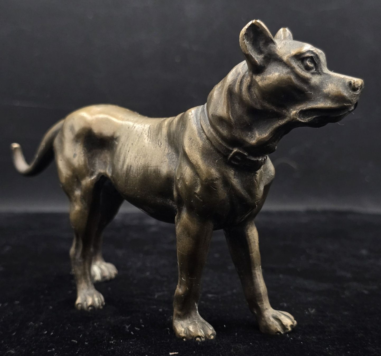 Sculture & Statue: Bronze Figur Hund – Usato da Rorschacherberg venduto da snOOpydOg11 2