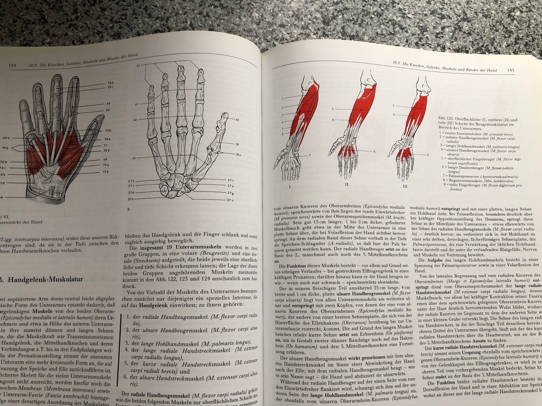 Bücher: Funktionelle und beschreibenden Anatomie, Uni, Studium – Gebraucht aus Buchs ZH von krenzi 2