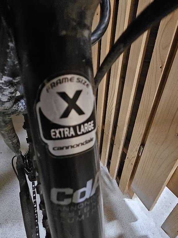Biciclette: Cannondale 29Zoll Extra Large – Usato da Oberrohrdorf venduto da Fen_qbb7 1