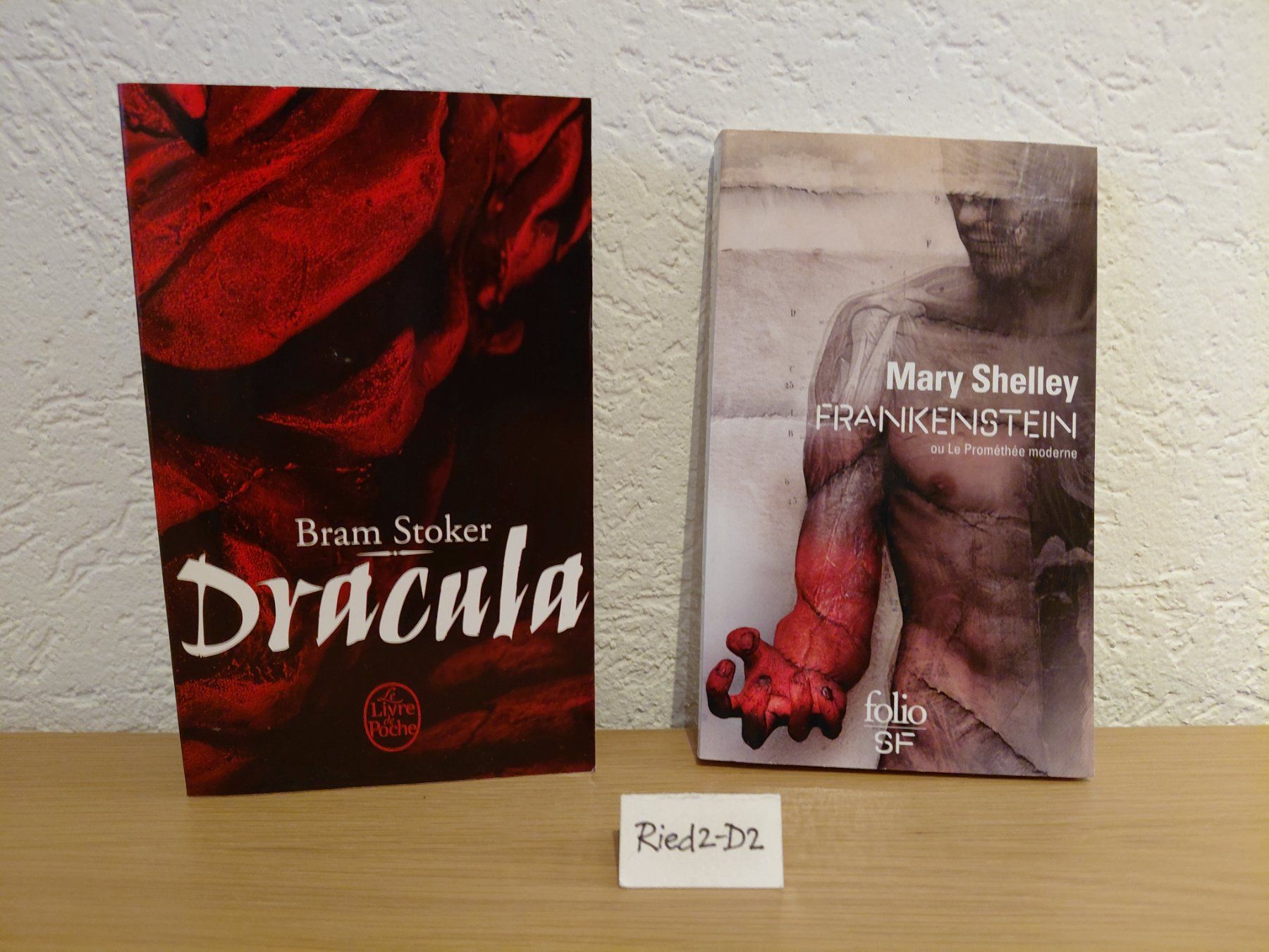 Libri: 2 x Romans Dracula + Frankenstein. NEUFS – Nuovo (secondo la descrizione) da La Chaux-de-Fonds venduto da Ried2-D2