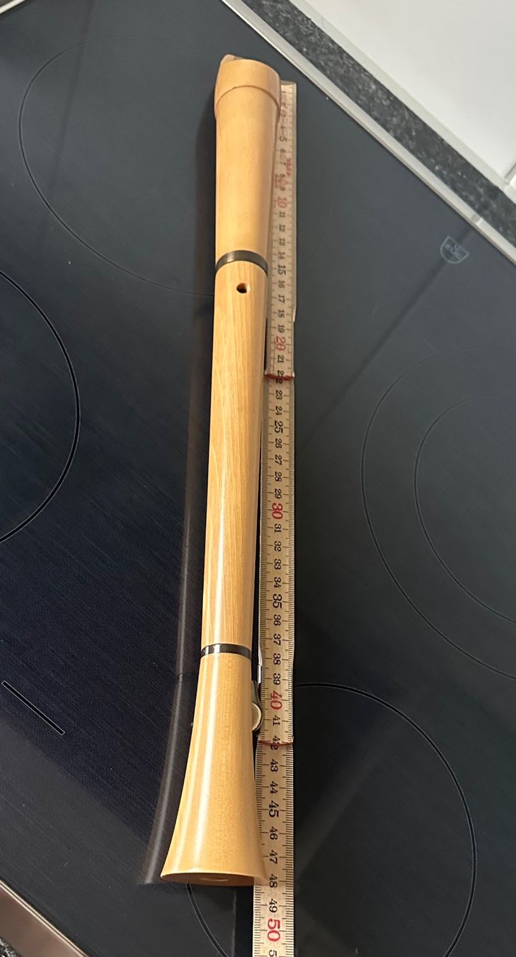 Strumenti musicali: Blockflöte Alt Flöte Moeck – Usato da Zürich venduto da brazerola 3