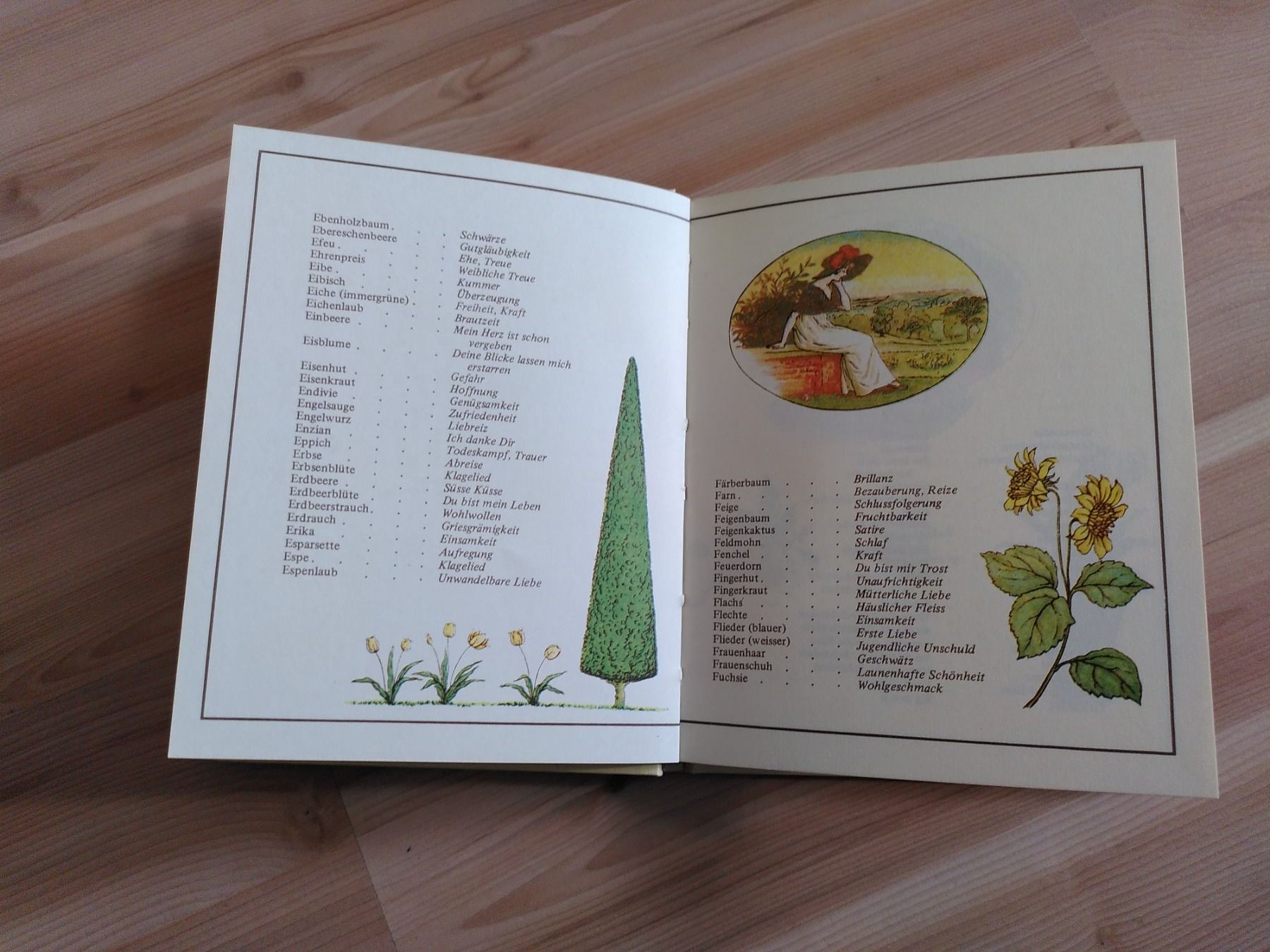 Bücher: SAG ES MIT BLUMEN – Gebraucht aus Brugg AG von olamim 1