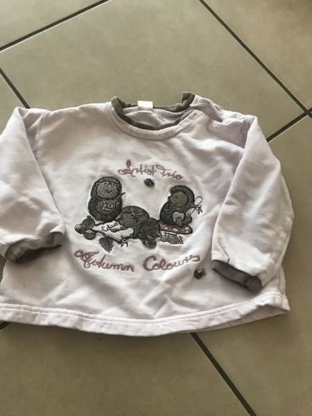 Maglioni & Felpe: Baby Mädchen Pullover 74 – Usato da Bergdietikon venduto da antovale