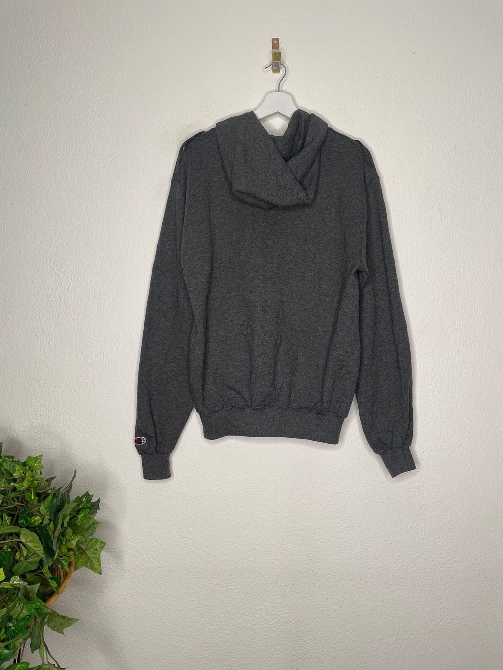 Champion Maglioni & Felpe: Champion Kaputzenpullover S. Logo Florida – Usato da Capolago venduto da LA.BOTTEGA 1