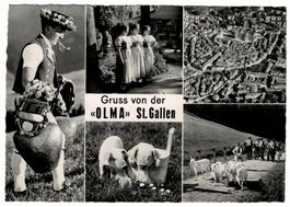 St. Gallen, Gruss von der OLMA, Mehrbildkarte, gel. 1962