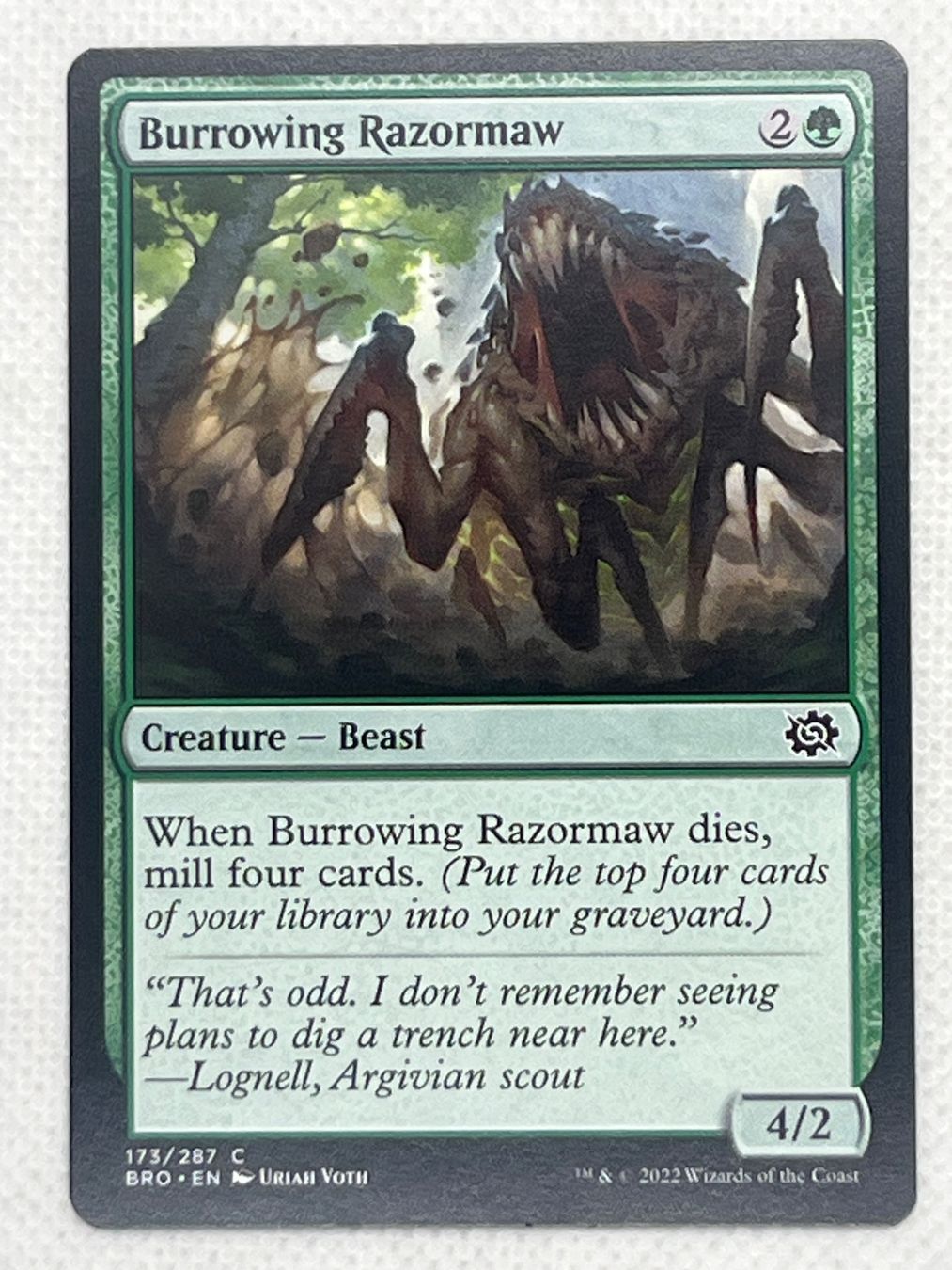 Magic The Gathering Carte collezionabili: Magic: The Gathering - Burrowing Razormaw, Common, Top! – Usato da Hinterkappelen venduto da Kim1992