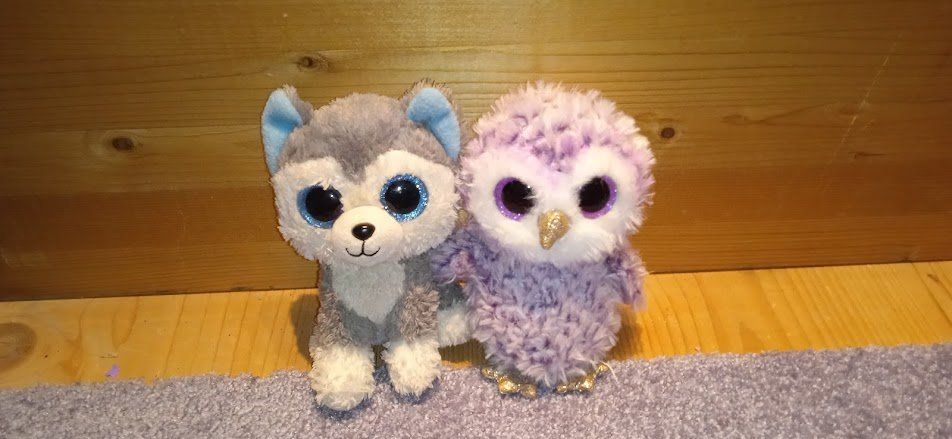 Ty Giocattoli: Ty Kuscheltiere Husky und Eule – Usato da Gipf-Oberfrick venduto da Harfenisa