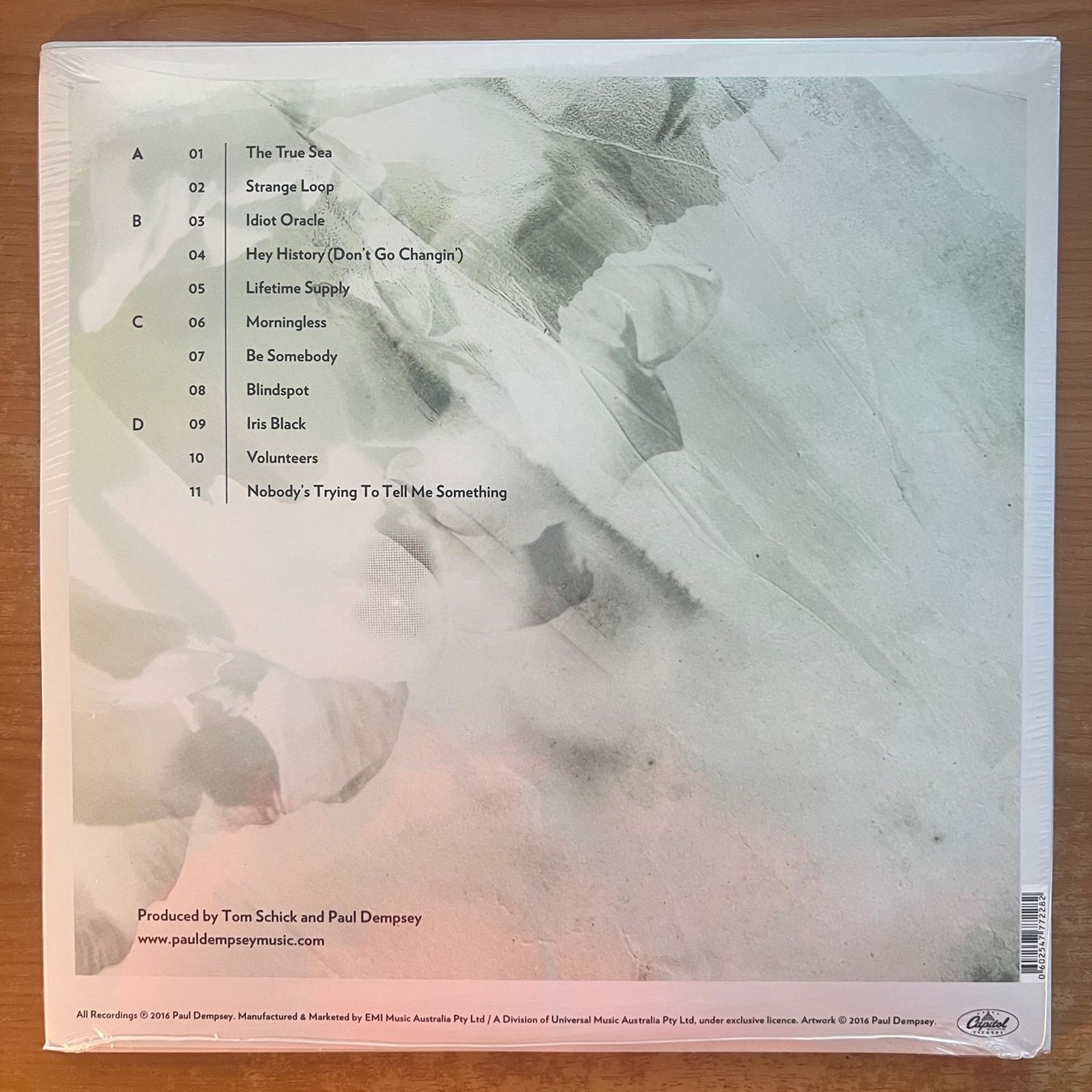 Dischi in vinile: Paul Dempsey - Strange Loop / 2 LP - 1.Australia-Press. 2016 – Nuovo e nell'imballaggio originale da Gais venduto da soundcave57 1