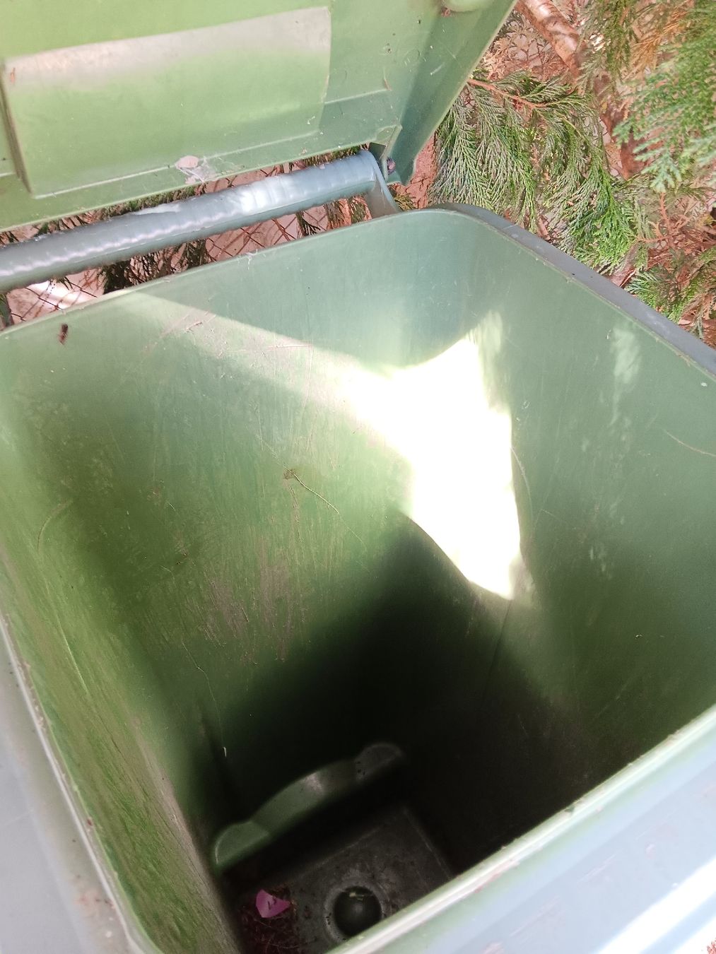 Conteneurs de construction: Grüngutcontainer – D'occasion à Längenbühl par mam_8v6q 1