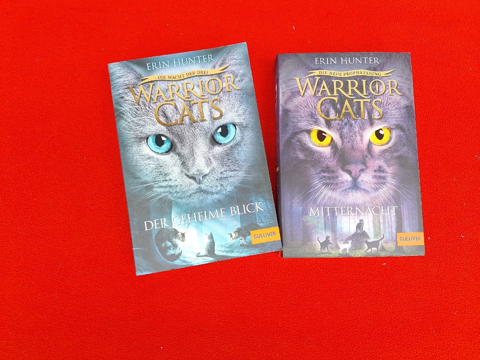 Libri: Warrior Cats Bücher "Der geheime Blick", "Mitternacht" – Usato da Ipsach venduto da nik_6hkj