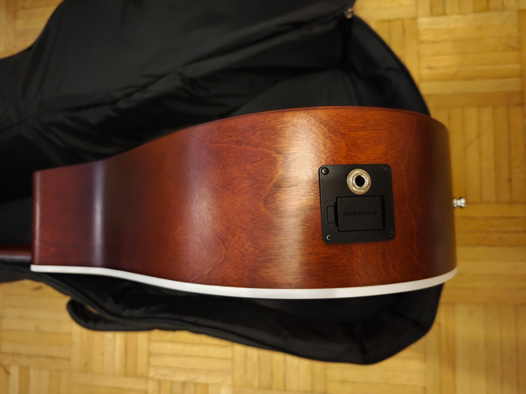 Seagull Strumenti musicali: Seagull Entourage Cutaway Presys 2 – Usato da Basel venduto da kea_9jr9 6