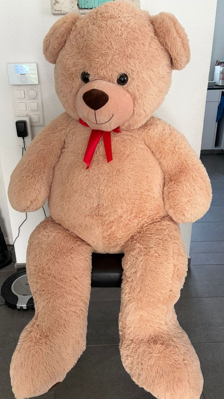 Giocattoli: Riesen Teddybär 150 cm – Nuovo (secondo la descrizione) da Niederhasli venduto da -Annie-
