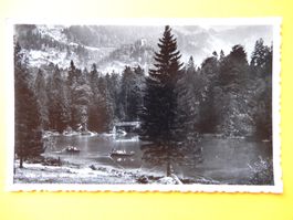 Ansichtskarte Blausee gelaufen Jahr 1933 belebt
