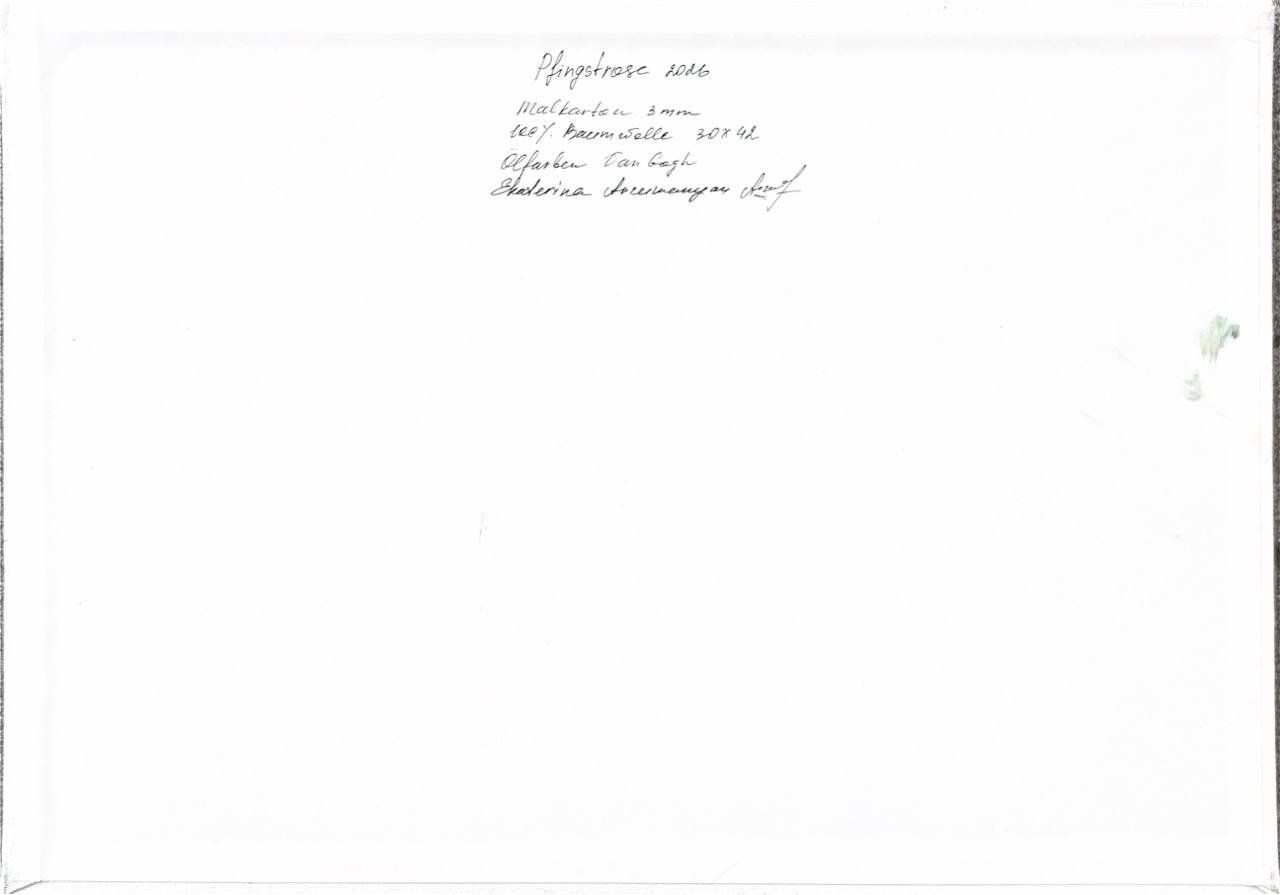 Dipinti: Ölgemälde Pfingstrose – Nuovo (secondo la descrizione) da Meggen venduto da My_art_for_you 1