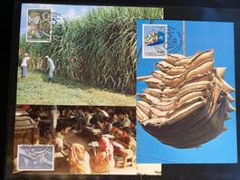 UNO Genf 1983 Lot Maximumkarten Handel Entwicklung Ernährung
