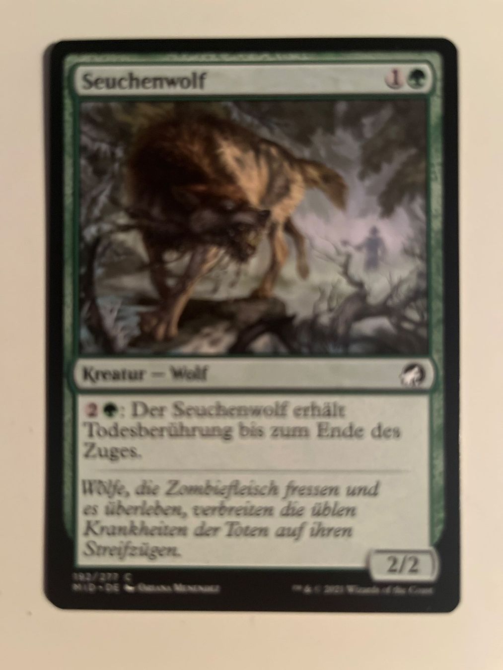 Magic The Gathering Carte collezionabili: 1 x Seuchenwolf - Magic: The Gathering - MtG – Usato da Kriens venduto da Shadi1980