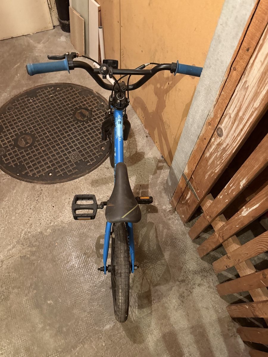 Radio Bikes Biciclette: Radio Dice Kinder BMX – Usato da Basel venduto da Haas4 2