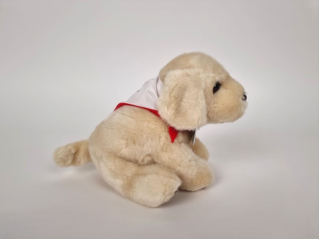 Jouets: Therapie-Hund Plüschtier – Neuf (Voir description) à Urtenen-Schönbühl par Restwert_Schoenbuehl 4