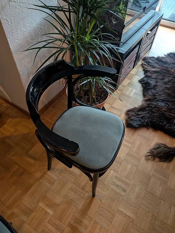 Chaises: Beizenstühle mit Charme – D'occasion à Zürich par nel_9pcc