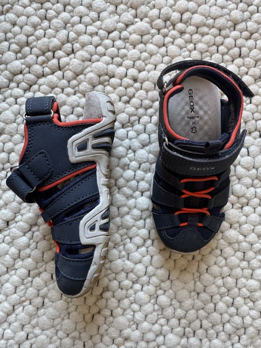 Geox Scarpe da uomo: Geox Kinderschuhe, Größe 26 – Usato da Orselina venduto da stefaniamenz 1