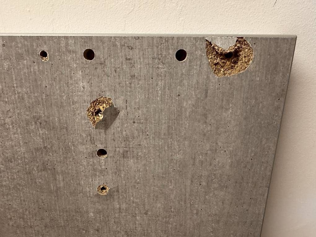 Letti: Stauraumbett Starlight mit Schubladen, 90x200 cm – Usato da Zürich venduto da doufda 2