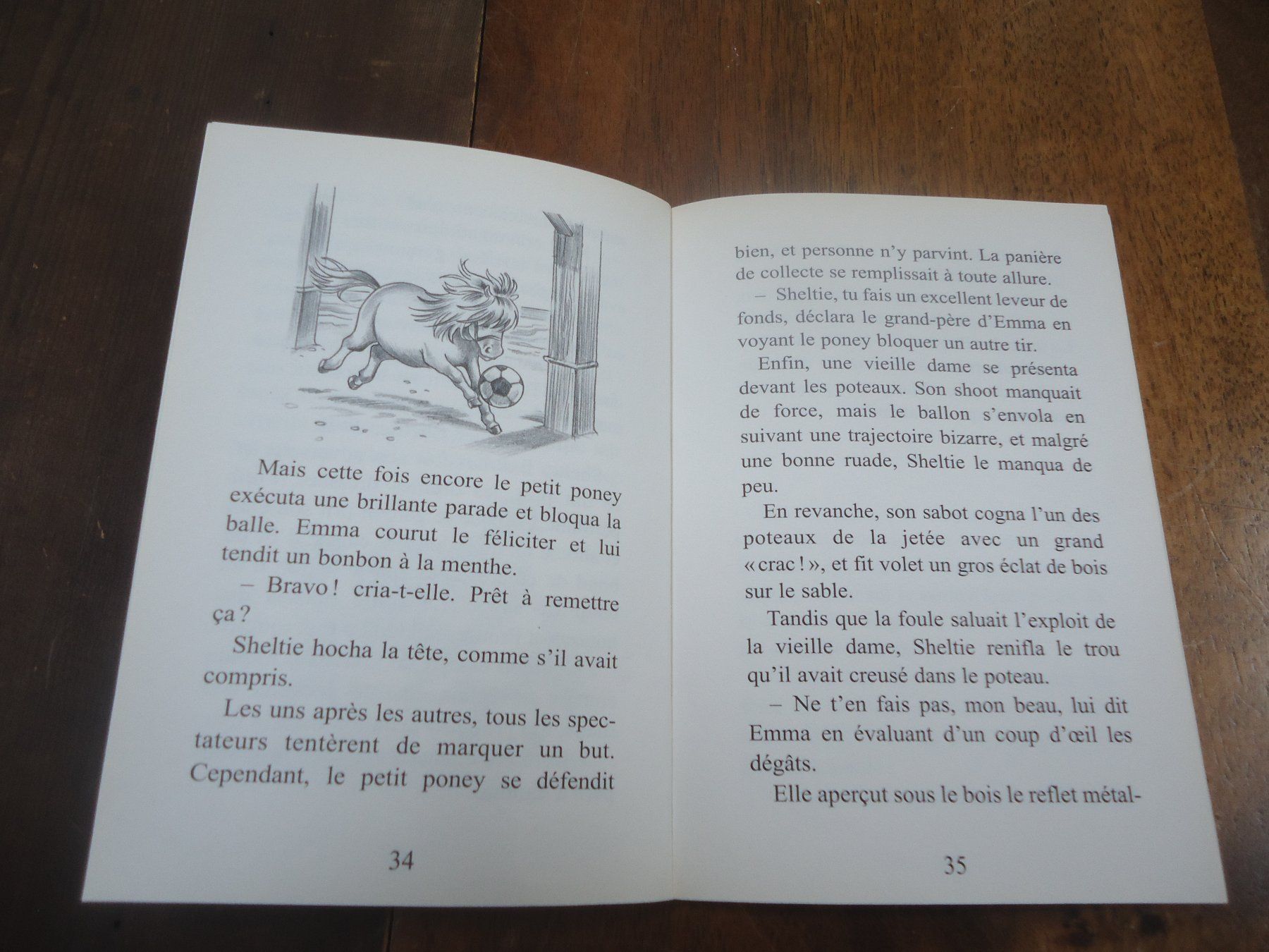 Libri: Sheltie et les pirates – Usato da Vessy venduto da mafabe 2