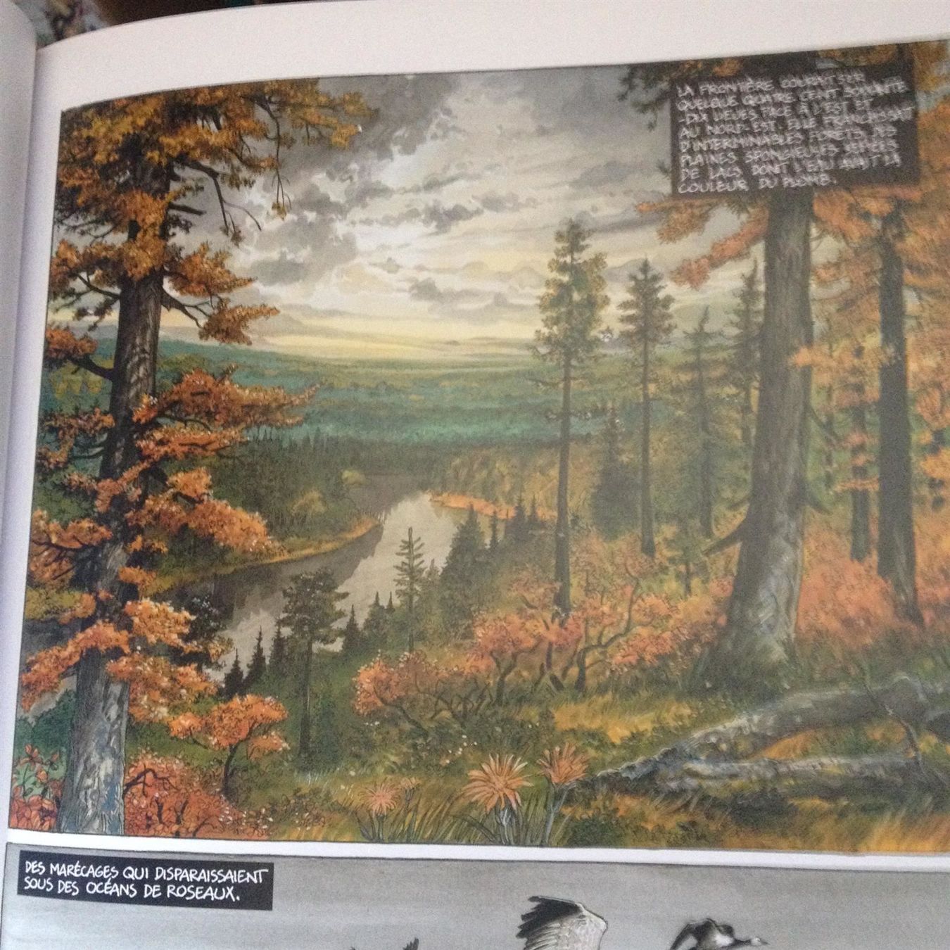 Fumetti: Le Royaume de Borée 1 - Oktavius  EO – Usato da Farvagny-le-Grand venduto da LaCaverne 4