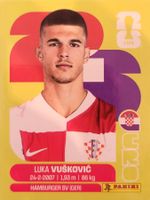 Panini FIFA World Cup CRO 6