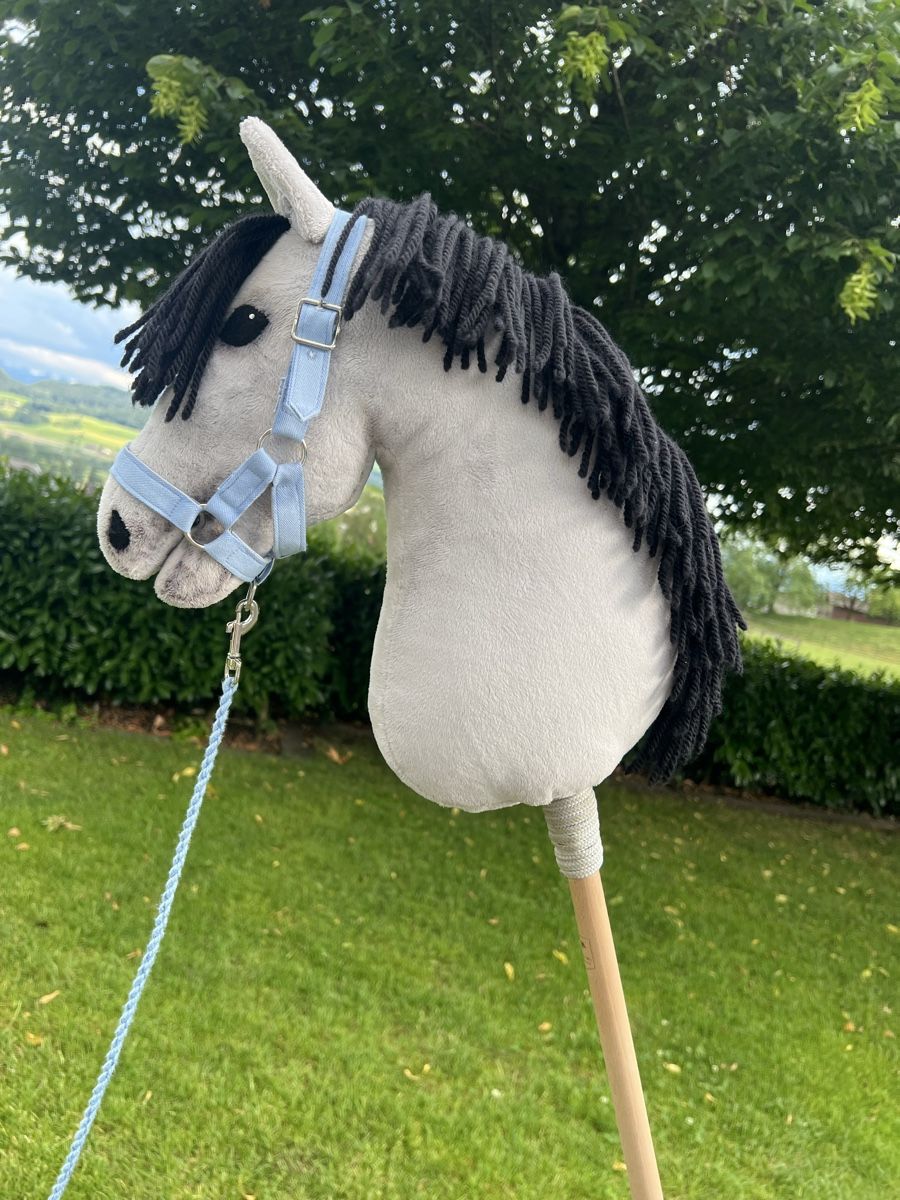 Jouets: Hobby Horse Steckenpferd  – D'occasion à Dietwil par sarn 1